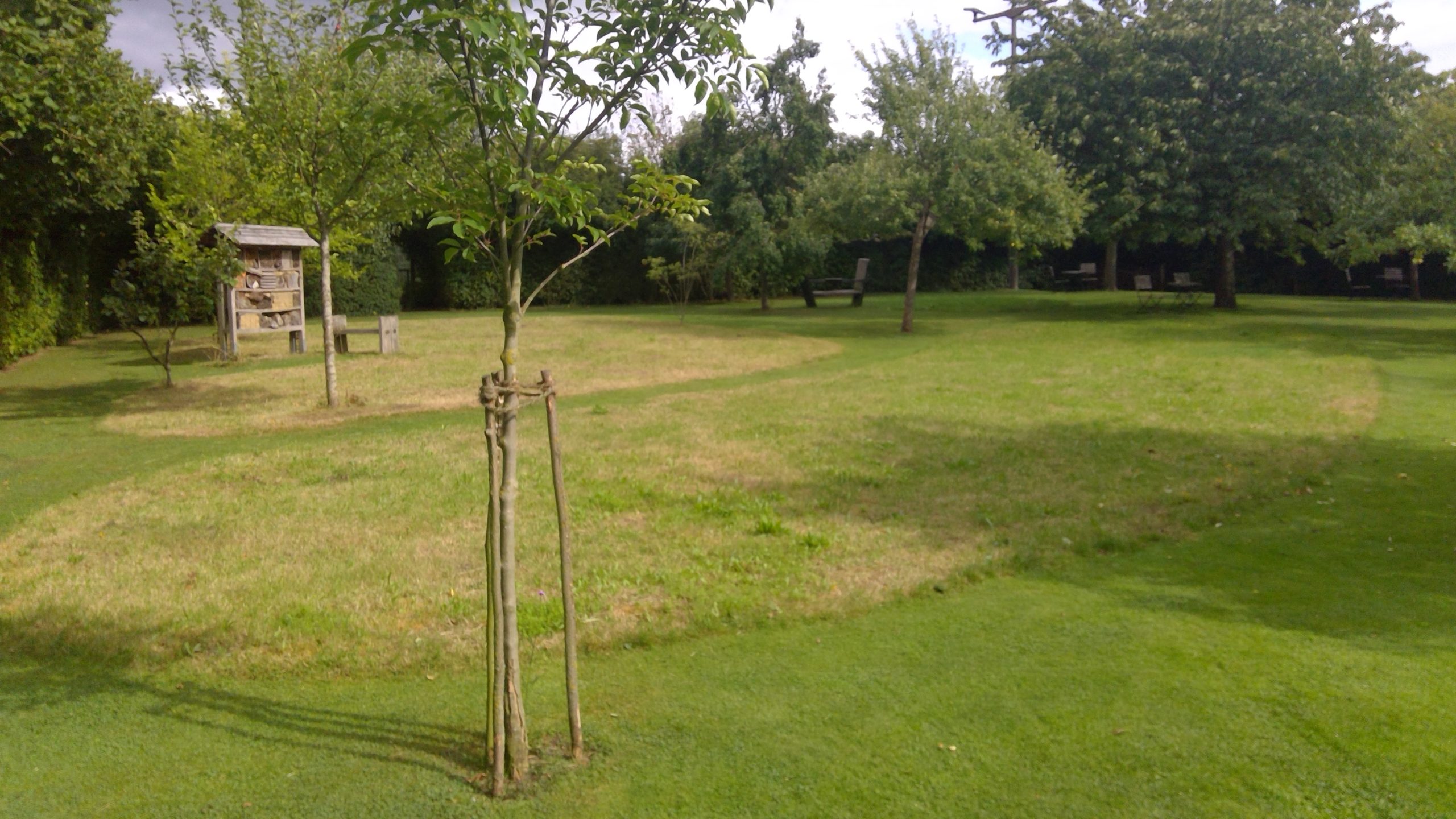 Im Sommer werden die Wiesenbeete gemäht.